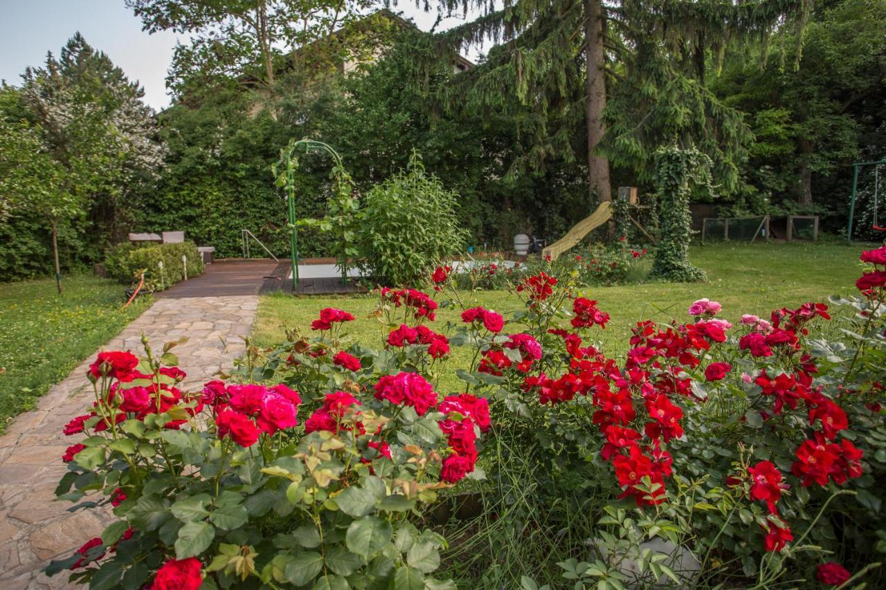 Hübsches Privatzimmer mit Bad Perchtoldsdorf Exterior foto
